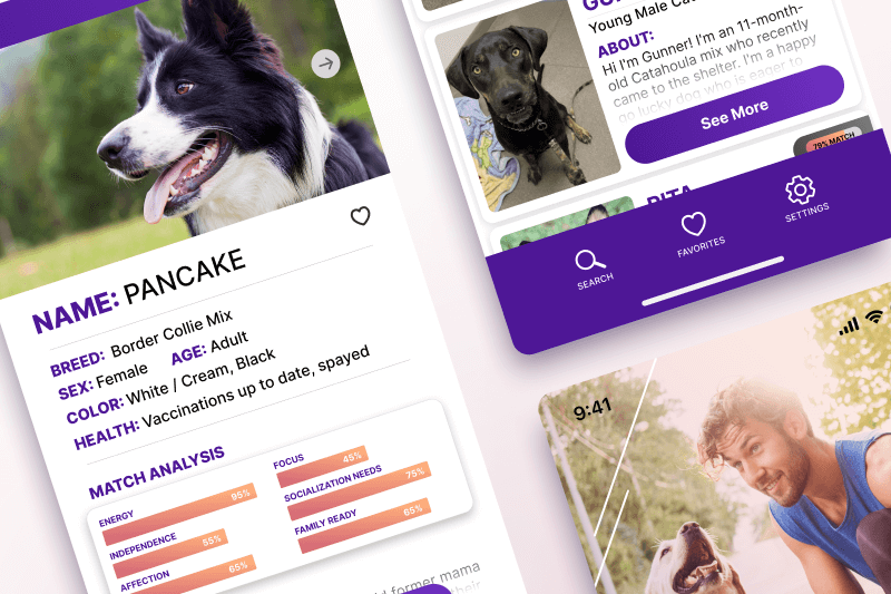 Nobel Pet Adoption App